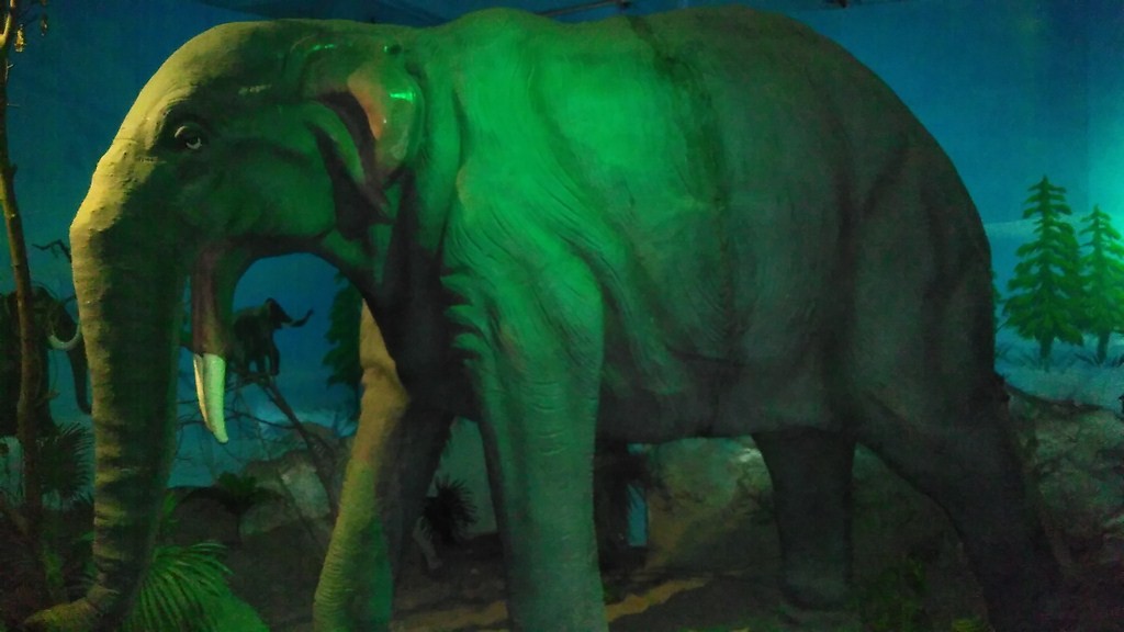 Elephant Model in science centre