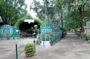 Indore Zoo Timings, Indore Zoo Ticket Price 2025, Indore Zoo Animals