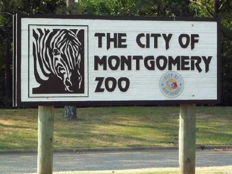 Montgomery Zoo Hours 2024, Montgomery Zoo Map, Ticket Prices 2024