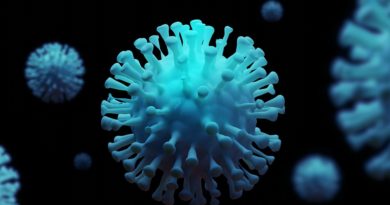 Coronavirus Facts And Myths