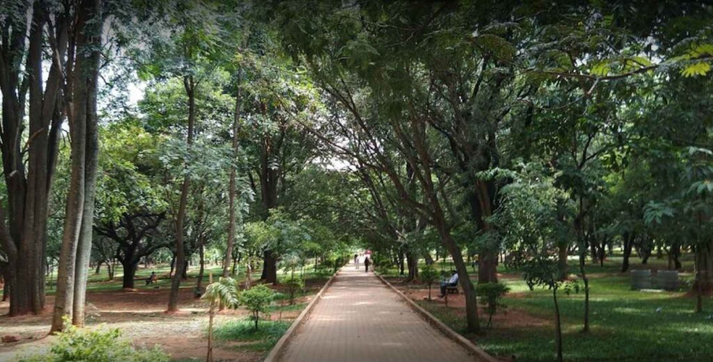 Cubbon Park