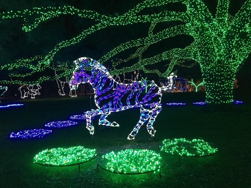 Houston zoo lights