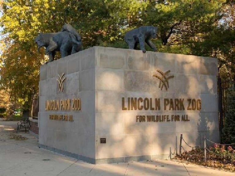 Lincoln Park Zoo Tickets Price 2024, Lincoln Park Zoo Hours, Lincoln