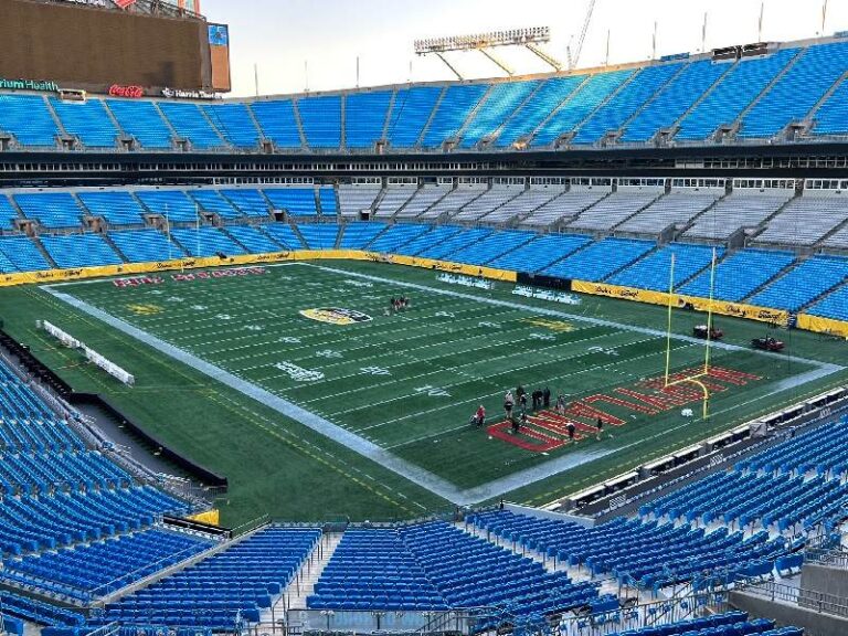 Bank of America Stadium Seating Chart with Rows and Seat Numbers ...